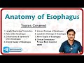 Anatomy of Esophagus: Parts, Constrictions. Neurovascular supply, Venous & lymphatic drainage