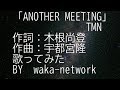 「ANOTHER MEETING」TMN  作詞:木根尚登 作曲:宇都宮隆 歌ってみた