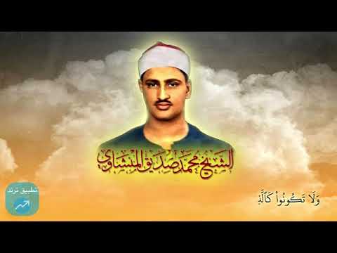 الشيخ محمد صديق المنشاوي رحمه الله مزمار من مزامير ال داود