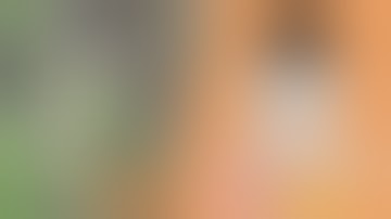 Взлом админки css: #16 Бан в ксс 3, Жмых взломал одмэнку.