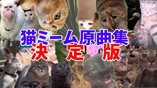 【永久保存版】猫ミームで流れている曲選