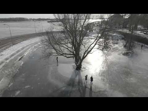* Hoogwater 2021 * 14 februari * Waal bij Tiel * Rivierenland * Kop van Waal *  Havengebied *