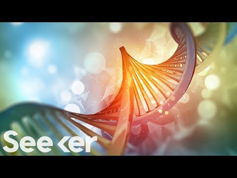 Are Your Political Beliefs Genetic? Instructional Video Are Your Political Beliefs Genetic? Instructional Video
