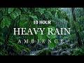 Calming Rain Sounds for Sleep, Study & Focus |Natural Rain Ambience for Relaxation and Productivity