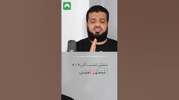 Learn and Memorize Surat Al-Fil | Word by Word | with Tajweed | سورة الفيل | PART 5