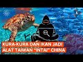 Kura-kura dan Ikan Jadi Mata-mata di Laut China