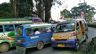 SESEKALI BUS GUNUNG KENA SKAX SAMA MOBIL SEWA/ANGUT TIDAK ADA NYALI BAH?