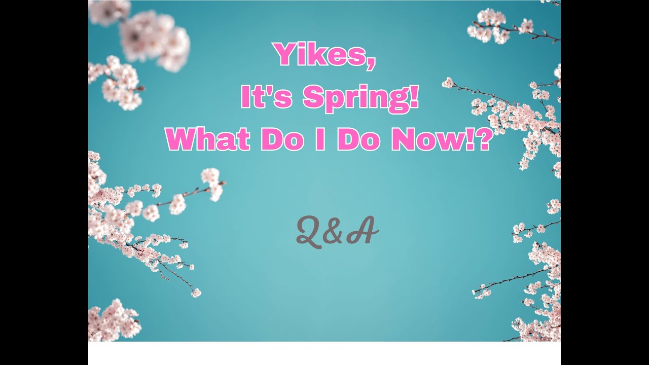 Spring Q A Yikes! It's Spring Q&A-part 3 - YouTube