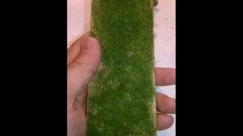 Flocking made easy 101