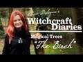 MAGICAL TREES: The Birch - Witchcraft Diaries