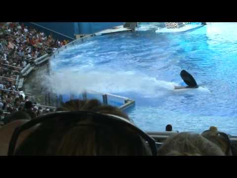 Sea World 18