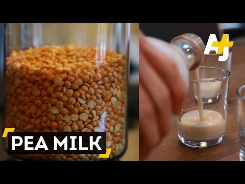 Video: Yellow Pea Milk: The Drink That Has It All