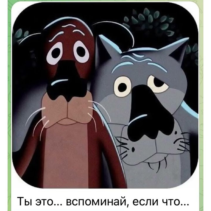 Бедные бездомные животные. Пес будет жить. Жил-был пёс. Стих про щенка. Волк из м ф жил-был пес.