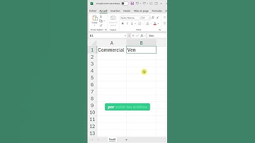 Excel pour débutants : La saisie des données #2
