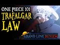 Trafalgar Law Explained (One Piece 101)