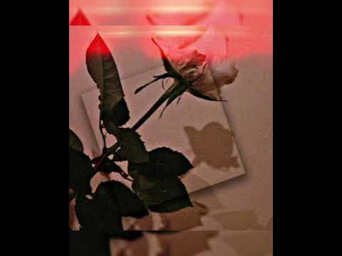 клип по щекам слезы кучер. кучер janaga. текст песни а по щекам моим. караоке по щекам слезы. текст песни а по щекам моим слёзы.