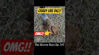 AMAZING Old SILVER Coin LIVE DIG Treasure Hunting!! #metaldetecting #silver #coincollecting