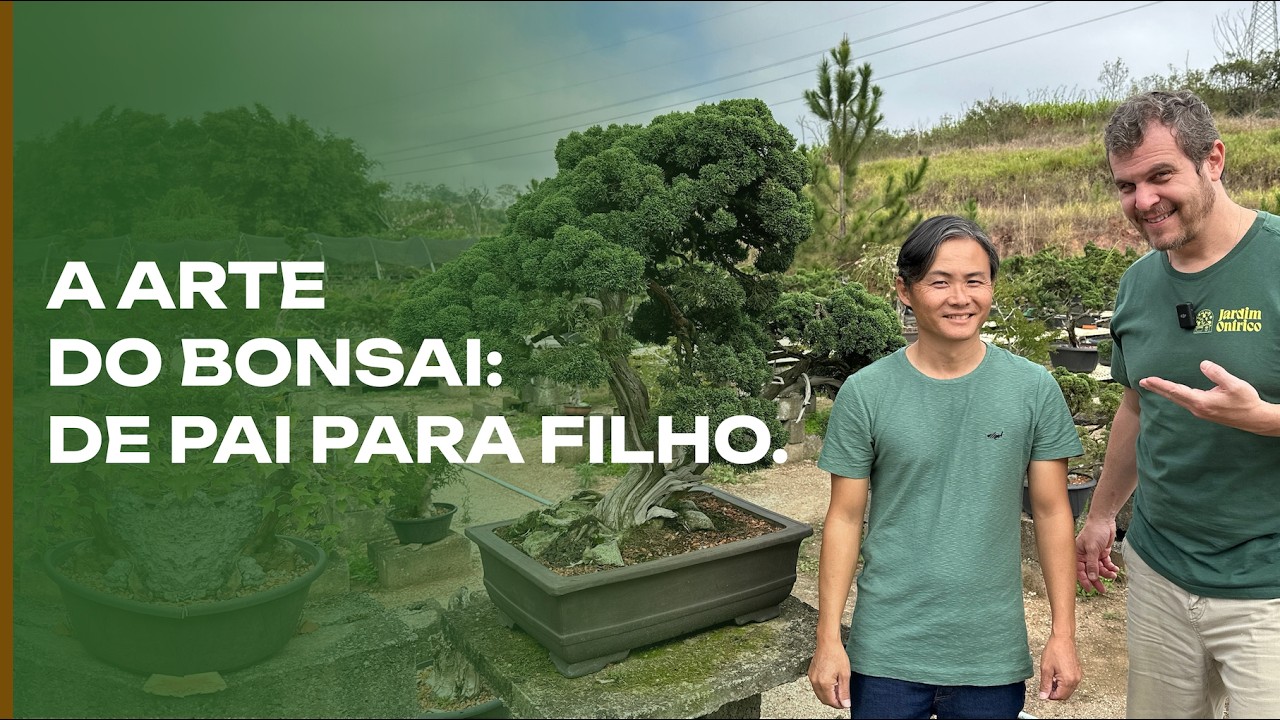 A Arte do Bonsai: de pai para filho.
