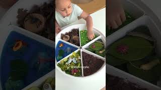 Make a bug tray with me! 🪲🪰