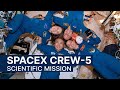 NASA's SpaceX Crew-5: A Scientific Mission