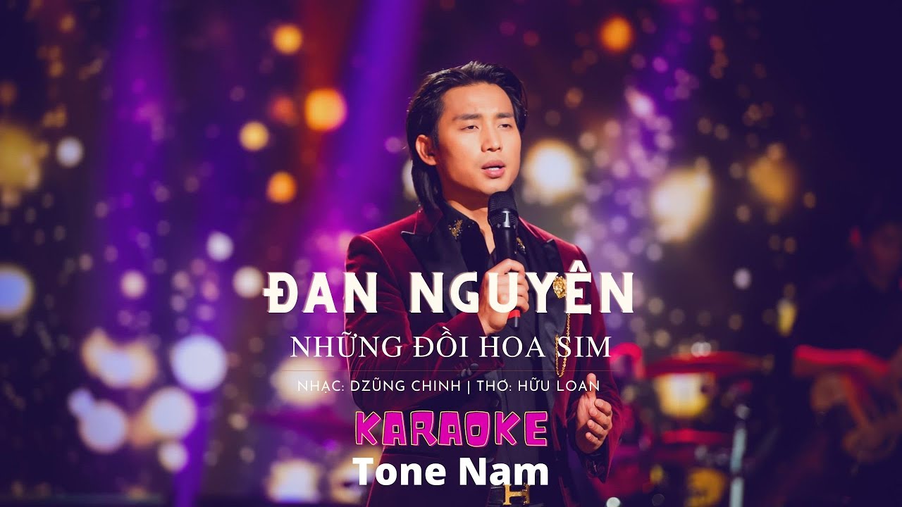NHỮNG ĐỒI HOA SIM KARAOKE | TONE NAM | ĐAN NGUYÊN