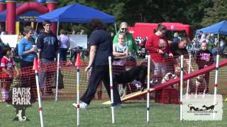 Bark in the Park 2011 Agility Course Demonstration