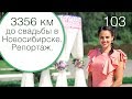 103 - Репортаж со свадьбы в Новосибирске / Свадебный блог Ирины Корневой