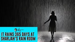 Experience The Rain Without Getting Wet At Sharjah’s Rain Room | Curly Tales
