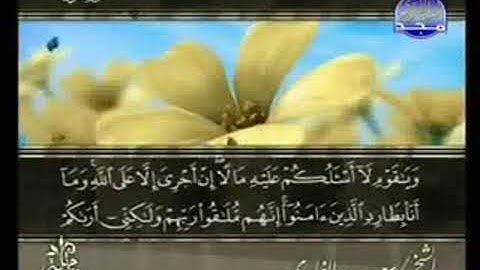 سورة هود من الآية 29 الى الاية 45