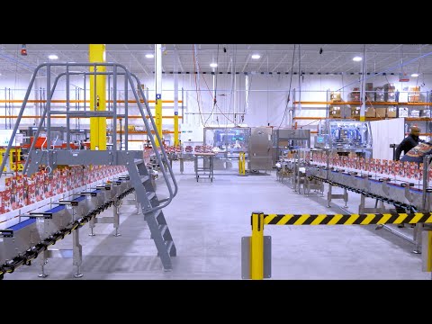 Carton Packaging Line | Frozen Treat Packing | Delkor Systems