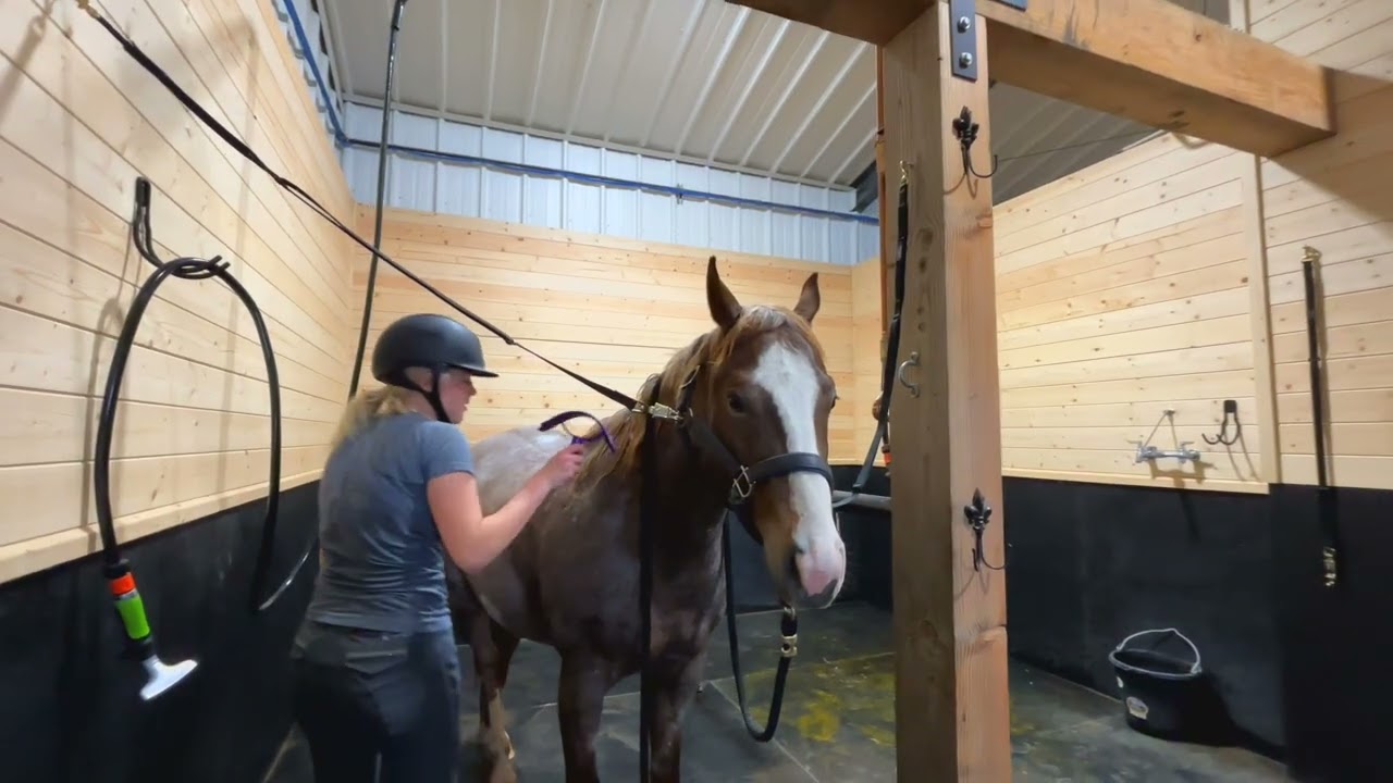 $10,000,000 Idaho Ranch For Sale (Horse Barn)