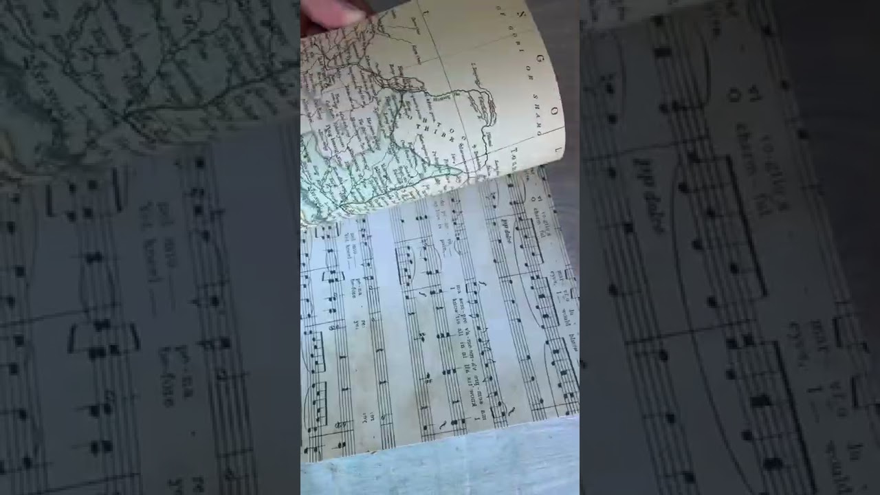 Mintay Basic book 8 flip 