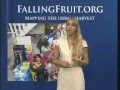FallingFruit.org on NewsTeam Boulder