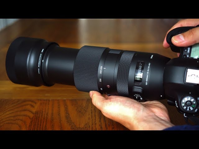 Sigma 100-400mm f/5-6.3 DG HSM 'C' lens review (Full-frame & APS-C 