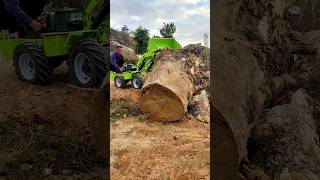 incredible power of truck assembling big tree