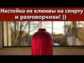 Настойка из клюквы на спирту и разговорчики ))