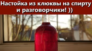 Настойка из клюквы на спирту и разговорчики ))