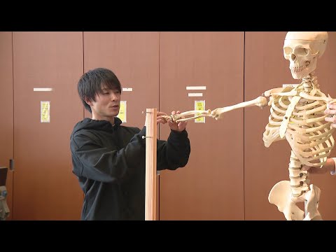 「体操の動きを骨格標本で再現できたら」　内村航平さんが博物館の企画展に向けて人体模型のポーズなど監修