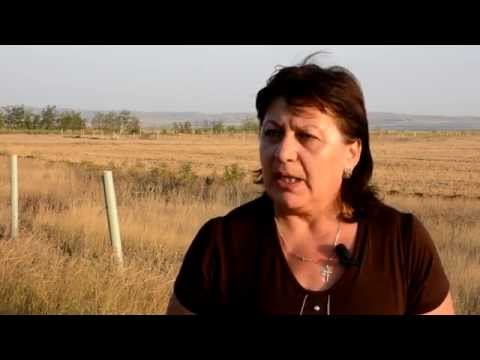 სიღნაღი და დედოფლისწყარო – სტიქიური უბედურების ზონა