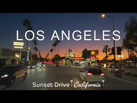 Driving Los Angeles