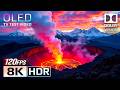 8K Nature: The Ultimate OLED HDR Experience (Dolby Vision, 120FPS)