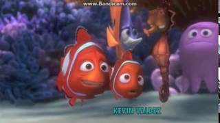sponge beds [2]