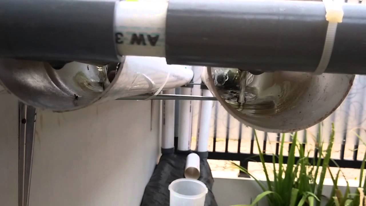 My hydroponic 