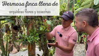 Recorriendo HERMOSA FINCA CAMPESINA | las plantas  son  protagonistas