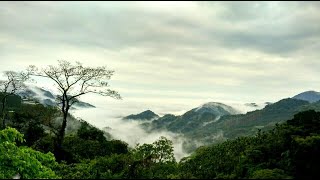 嘉義．阿里山露營區＆上富茶廠＆淳風皓月露營區 \/休閒、旅遊、餐廳、美食、住宿、高山茶