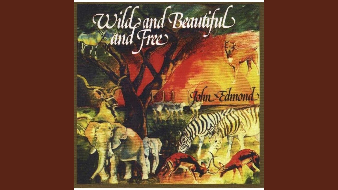 Mira Coal Mine in Paradise en YouTube Mira Coal Mine in Paradise en YouTube