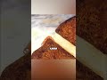 Ketika Cacing Ingin Melihat Dunia Luar 🌍🐛#viralvideo #shortvideo