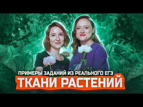 ТКАНИ РАСТЕНИЙ | Разбор заданий о растительных тканях из ЕГЭ-2024 по биологии