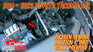 Toyota Tacoma Bank 1 Sensor 1 Oxygen Sensor: Location, Function, & Info. #mechanic #toyotatacoma