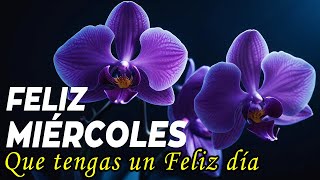 Buenos dias con imagenes bonitas Feliz miercoles bendecido